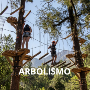 Arbolismo - Mendoza