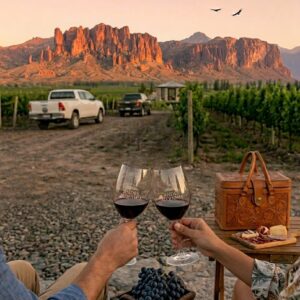 Mendoza all inclusive - 5 días 4 noches